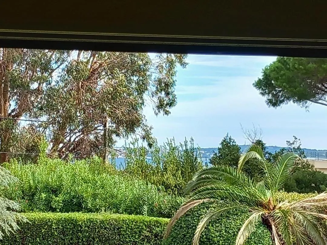 Studio Et Chambre Sur Jardin Et Mer Cannes Apartment